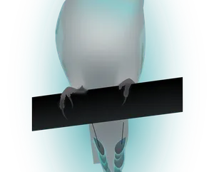 4_2693
