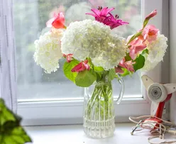 images (7)