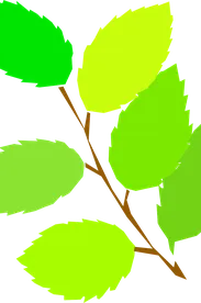 pobrane (12)