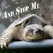 images (7)